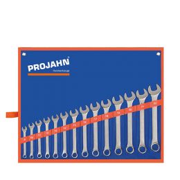 Projahn ringsteeksleutelset 14 delig